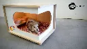 Cat House Modern Nightstand Pet House Cat bed Cat Crate Wood Cat Hoouse Peet House CAT306a.webp