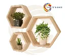 Floating Shelf Wall Hanging Shelves Wall Hanging Durable Shelves for Living Room Bedroom Kitchen WL1003dsddds copy.webp