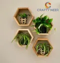 Modern Floating Book Shelf Multi-Purpose Wall Shelf Decorative  Floating Book Shelf Model : WL 1003